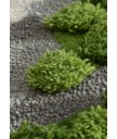 地毯 - 不規則經典花園圖案地毯 時尚有型 部屋必備