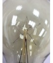 燈膽 - 復古愛迪生A19星型鎢絲燈膽 經典款式 全新演繹